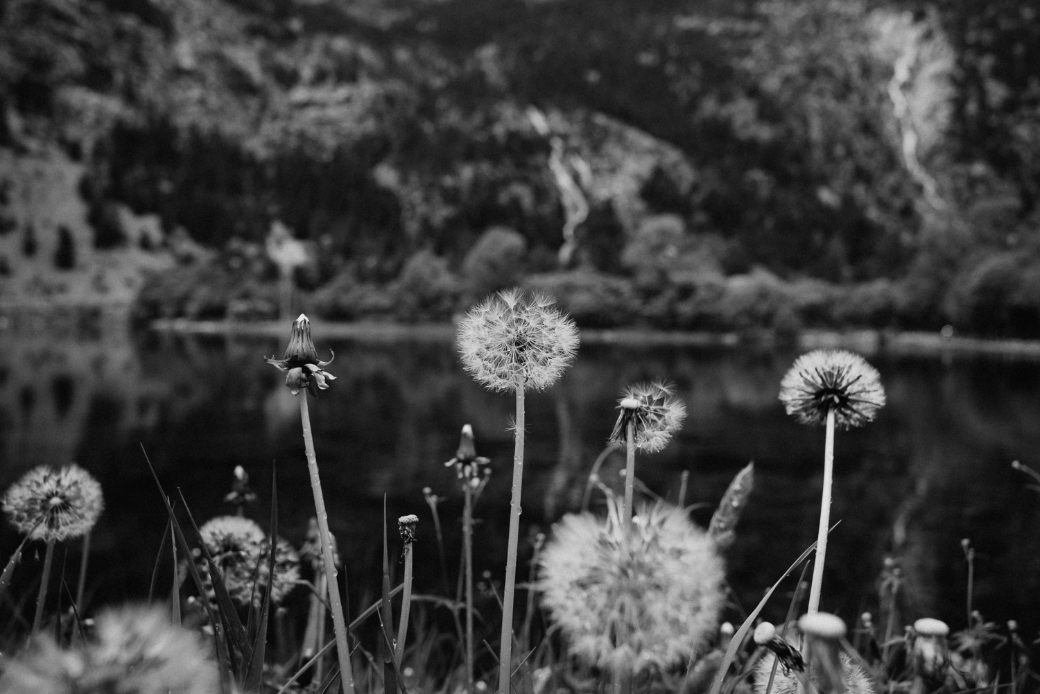 Fotógrafo Bodas Pirineos - Boda en el Pirineo