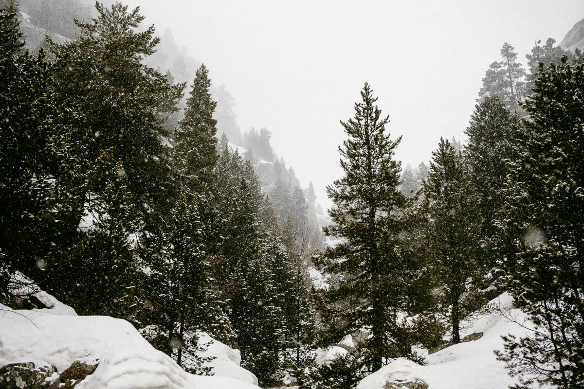 Boda en la Nieve